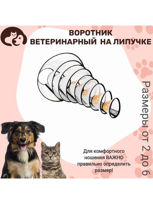 Воротник для животных пластик белый размер 4-2 ВЖм, белый, фото 4