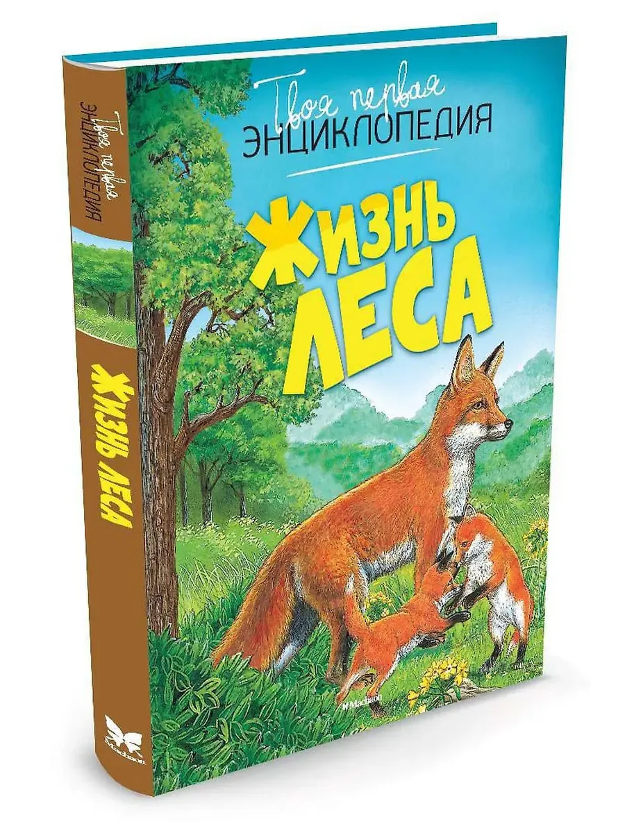 Жизнь леса