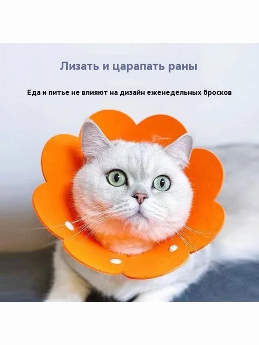 Воротник для животных размер L розовый VZ, розовый, фото 2