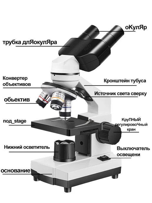 SINO OPTICAL Микроскоп бинокулярный школьный 5000X + набор, белый, фото 5
