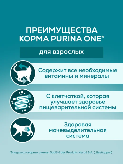PURINA ONE Влажный корм для кошек, Говядина и морковь, 75 г х 52 шт, 75 г, 52 шт, фото 3