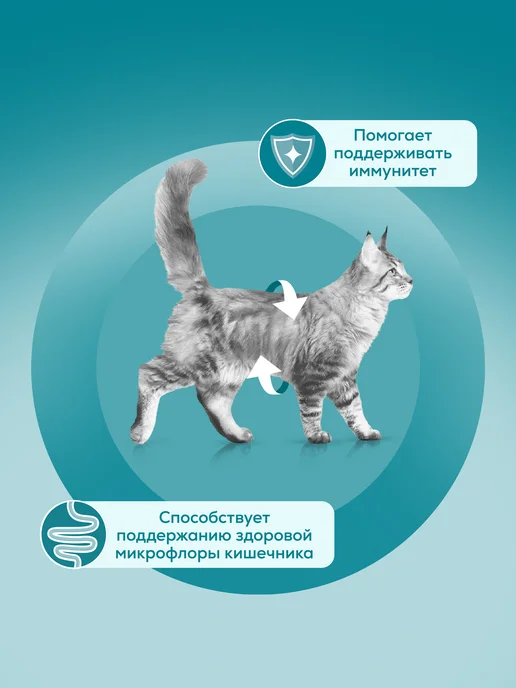 PURINA ONE Влажный корм для кошек, Говядина и морковь, 75 г х 52 шт, 75 г, 52 шт, фото 4