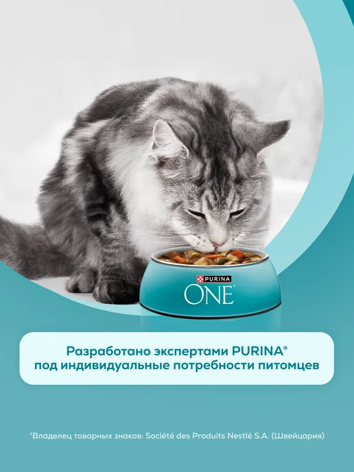 PURINA ONE Влажный корм для кошек, Говядина и морковь, 75 г х 52 шт, 75 г, 52 шт, фото 7
