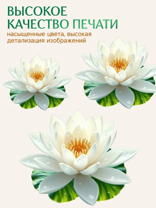 stiker Наклейки интерьерные цветы на стену, белый, фото 5