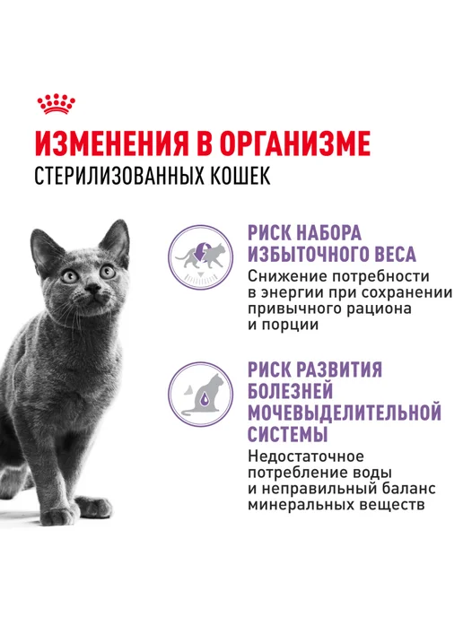 Royal canin Влажный корм для стерилизованных кошек (в соусе), 85г х 56шт, 85 г, 56 шт, фото 2