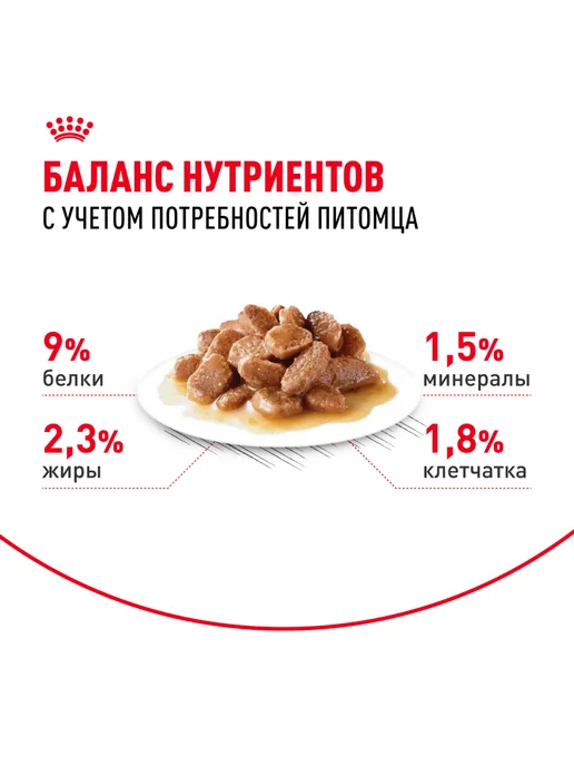 Royal canin Влажный корм для стерилизованных кошек (в соусе), 85г х 56шт, 85 г, 56 шт, фото 4