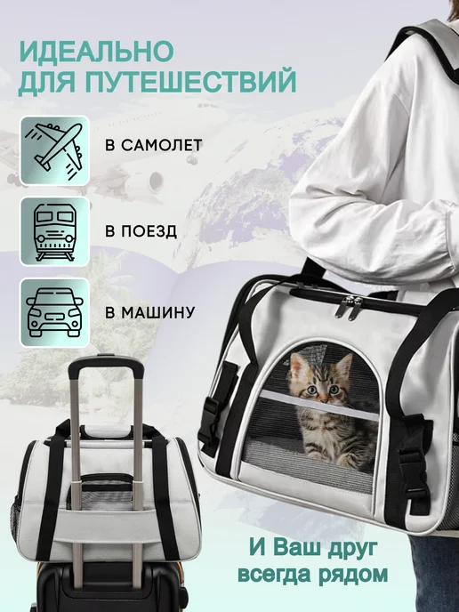 Petsvy Переноска для кошек и собак, вариант, фото 5