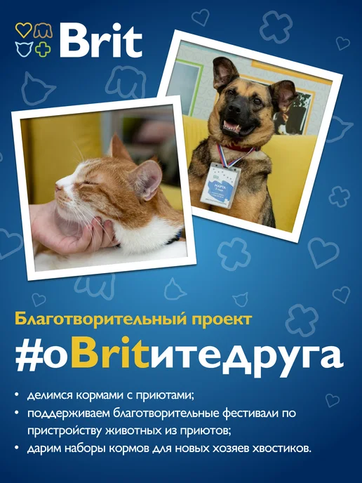 Сухой корм Brit Пород. для собак, средние, курица, 3 кг, фото 8