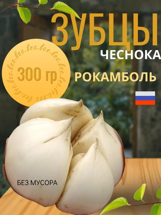 ПИТАТЕЛЬНЫЙ САД Зубцы чеснока на посадку Рокамболь 300 грамм, белый