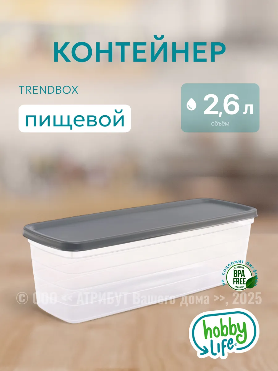 Контейнер пищевой Trendbox 2,6 л.