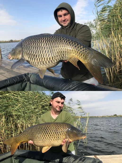 Трофей Fishing Ликвид-дип ароматизатор для рыбалки серии "Карп" Кукуруза, вариант, фото 3