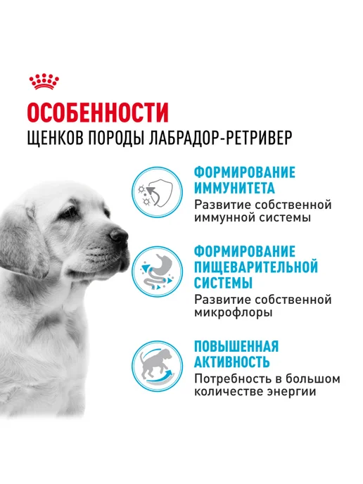 Сухой корм Royal canin Лабрадор Птица для собак, щенки, 3 кг, фото 2