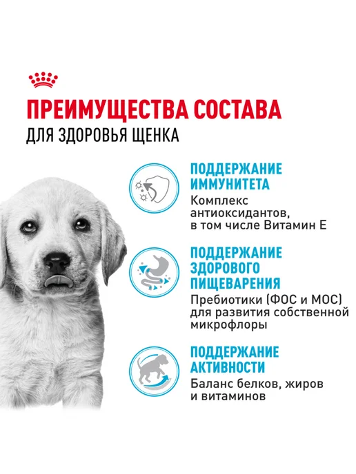 Сухой корм Royal canin Лабрадор Птица для собак, щенки, 3 кг, фото 3