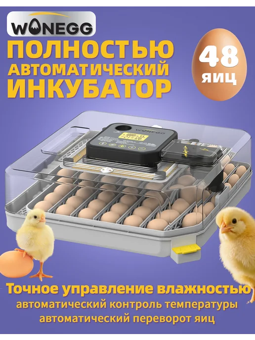 Инкубатор для яиц автоматический двойное питание 220V 12V, вариант