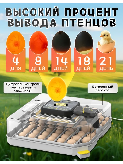 Инкубатор для яиц автоматический двойное питание 220V 12V, вариант, фото 4