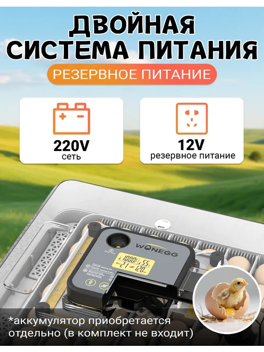Инкубатор для яиц автоматический двойное питание 220V 12V, вариант, фото 5