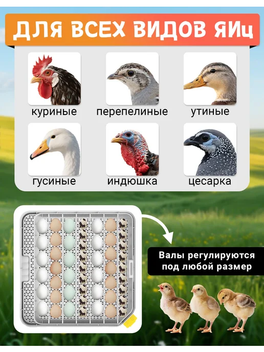 инкубатор для яиц автоматический 48, вариант, фото 6