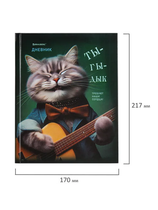 Brauberg Дневник 5-11 класс 48 л "Ты-Гы-Дык", 48 л, фото 4