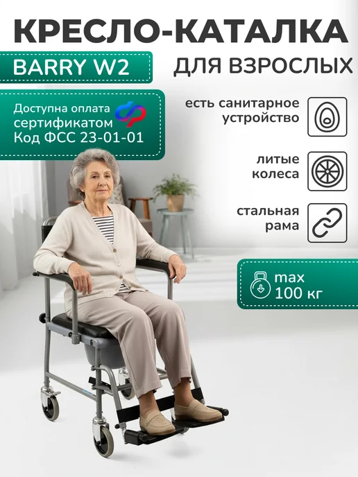 barry Инвалидное кресло каталка для взрослых инвалидов пожилых W2, серый