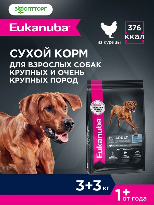 Сухой корм Eukanuba для собак, крупные, курица, 3 кг