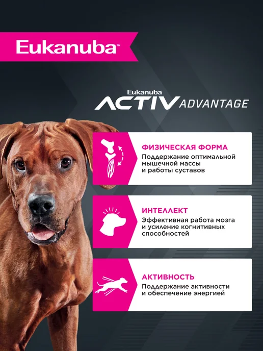 Сухой корм Eukanuba для собак, крупные, курица, 3 кг, фото 2