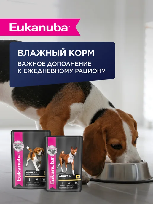 Сухой корм Eukanuba для собак, крупные, курица, 3 кг, фото 6