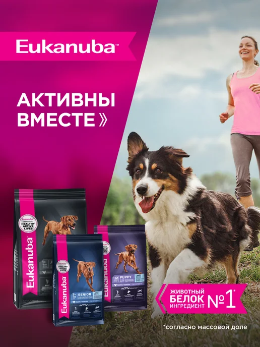 Сухой корм Eukanuba для собак, крупные, курица, 3 кг, фото 7