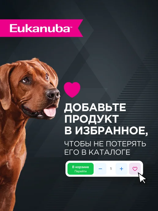 Сухой корм Eukanuba для собак, крупные, курица, 3 кг, фото 8