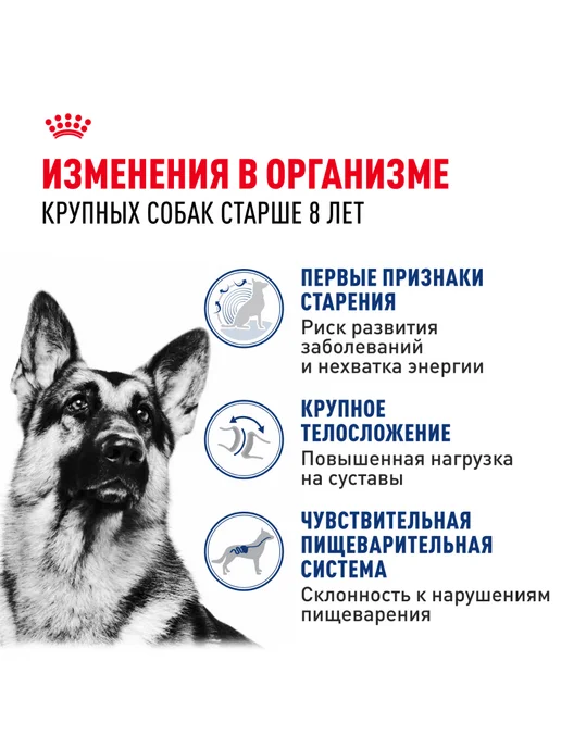 Сухой корм Royal canin Старше Птица для собак, крупные, 3 кг, фото 2