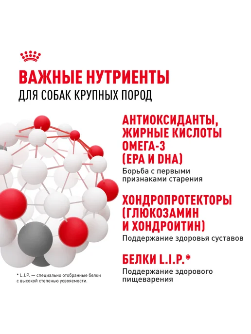 Сухой корм Royal canin Старше Птица для собак, крупные, 3 кг, фото 5