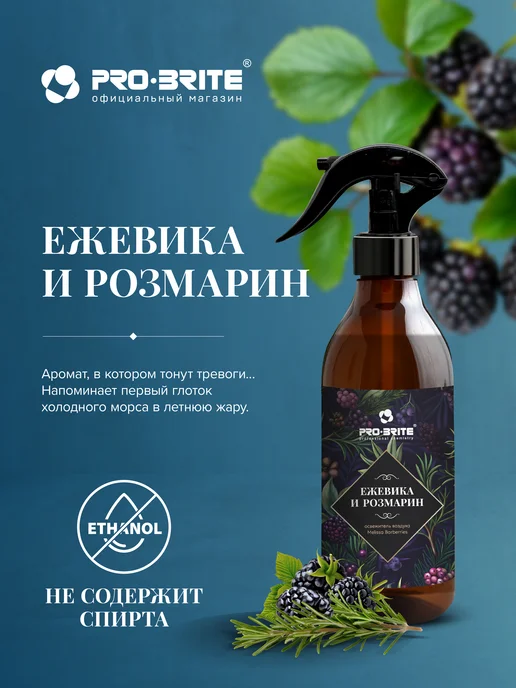 Pro-Brite Освежитель воздуха "Ежевика и Розмарин" 370 мл, 370 мл, фото 2