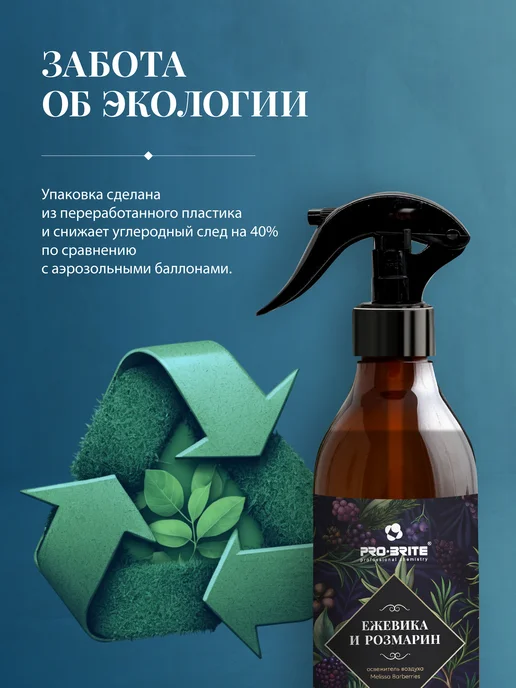 Pro-Brite Освежитель воздуха "Ежевика и Розмарин" 370 мл, 370 мл, фото 5