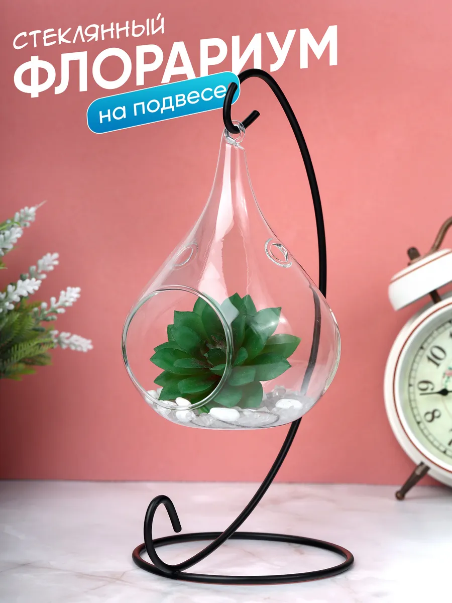 Стеклянный флорариум