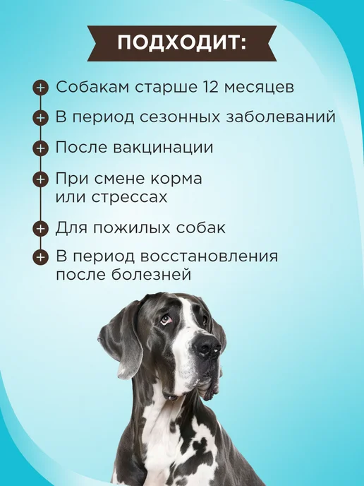 GOODR Полезное лакомство для собак GOOD DOG Крепкий иммунитет с ла…, вариант, фото 2