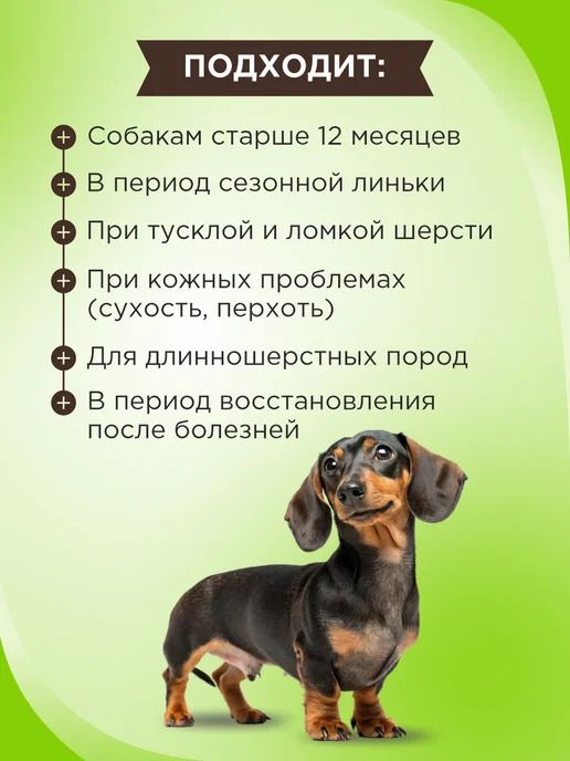 GOODR Полезное лакомство для собак GOOD DOG Здоровье кожи и шерсти…, вариант, фото 2
