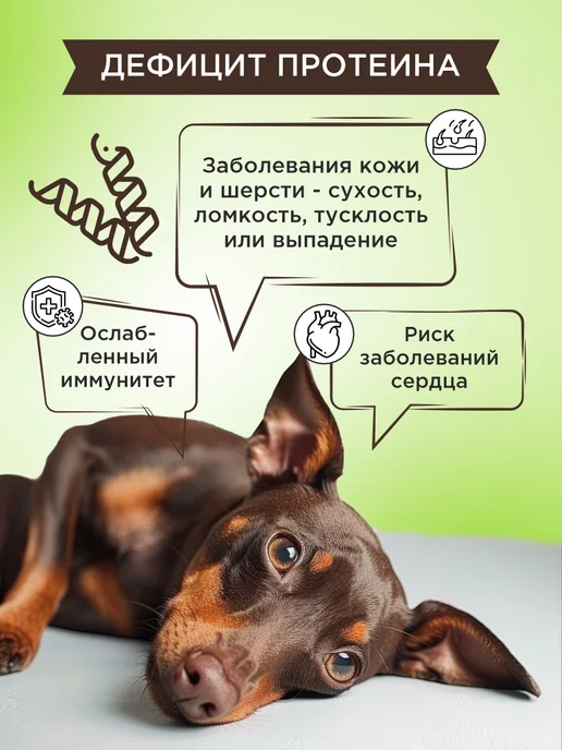 GOODR Полезное лакомство для собак GOOD DOG Здоровье кожи и шерсти…, вариант, фото 3