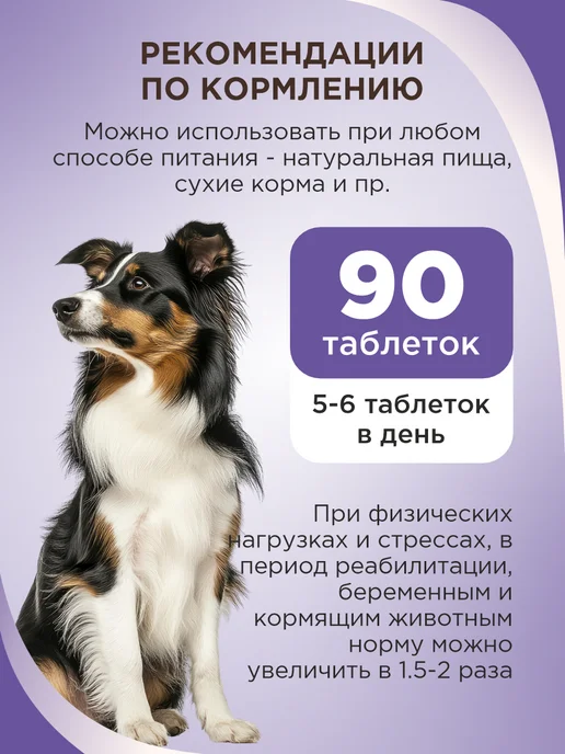 GOODR Полезное лакомство для собак GOOD DOG в период линьки 90 таб, вариант, фото 7