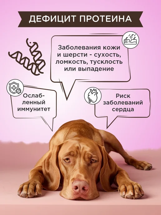 GOODR Полезное лакомство для собак GOOD DOG Здоровье и энергия 90…, вариант, фото 3