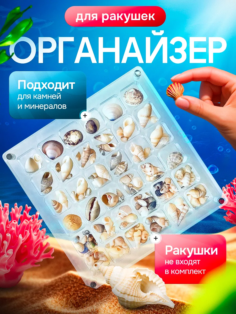 Органайзер для ракушек