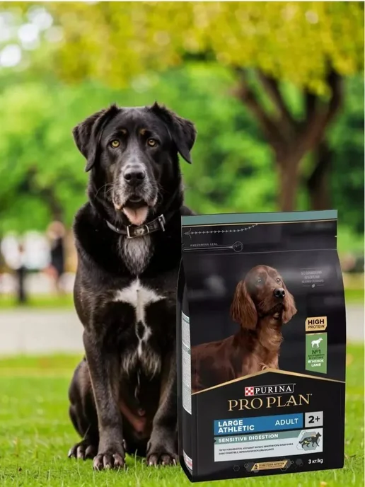 Сухой корм PRO PLAN Athletic Digestion для собак, взрослые, чувствительное пищеварение, ягненок, 14 кг, фото 3