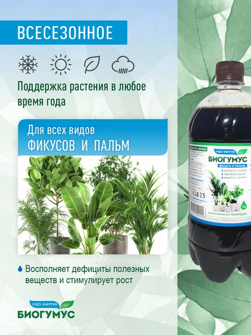 КФХ "Докшицкая станица" Удобрение для фикусов и пальм Биогумус жидкий, вариант, фото 2