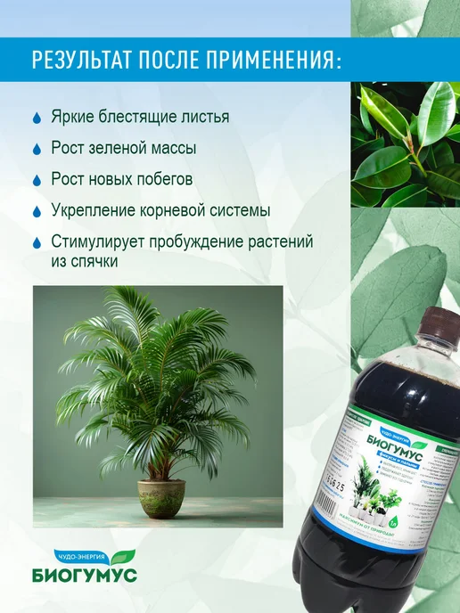 КФХ "Докшицкая станица" Удобрение для фикусов и пальм Биогумус жидкий, вариант, фото 5