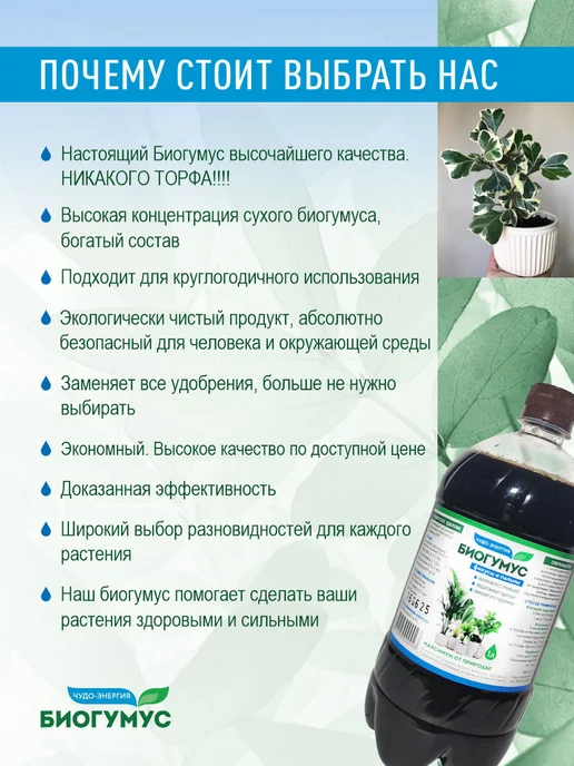 КФХ "Докшицкая станица" Удобрение для фикусов и пальм Биогумус жидкий, вариант, фото 8