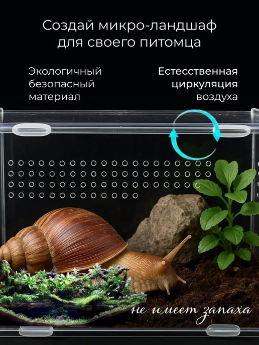 Суперзу Террариум 250х150х150 мм для улиток, пауков и рептилий, 250x150x150 мм, фото 2