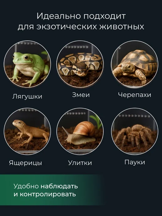 Суперзу Террариум 250х150х150 мм для улиток, пауков и рептилий, 250x150x150 мм, фото 3