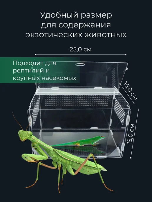 Суперзу Террариум 250х150х150 мм для улиток, пауков и рептилий, 250x150x150 мм, фото 6