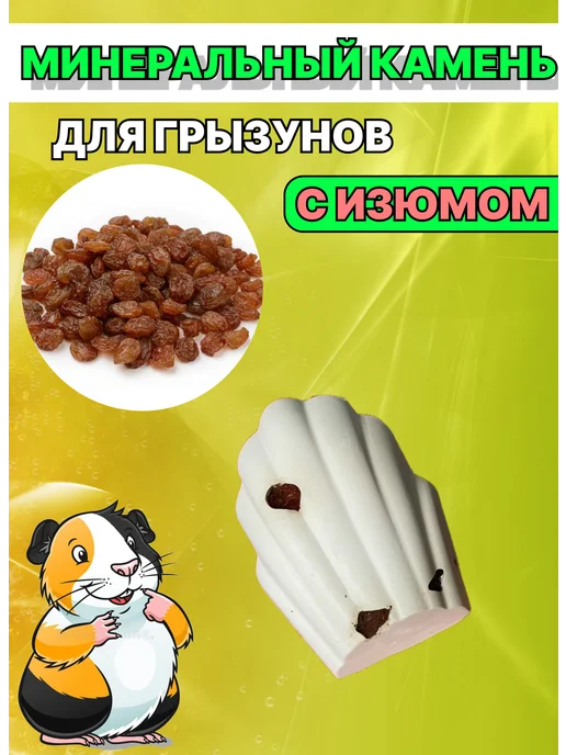 Минеральный камень для грызунов ракушка с изюмом 2шт, 1 шт, фото 2