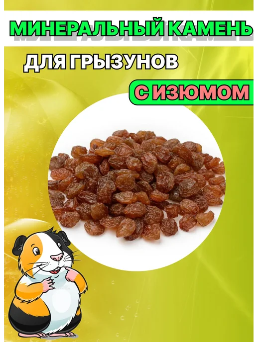 Минеральный камень для грызунов ракушка с изюмом 2шт, 2 шт, фото 2