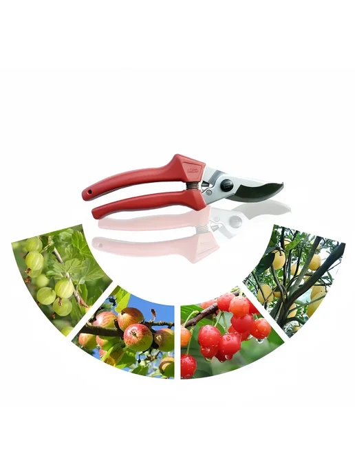 ARS TOOLS Секатор садовый ARS 120EU профессиональный, вариант, фото 6