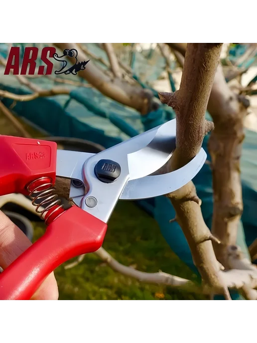 ARS TOOLS Секатор садовый ARS 120EU профессиональный, вариант, фото 7
